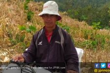 Kisah Pak Guru Honorer K2, Usai Mengajar Cari Kayu Bakar, Istri Pergi Ogah Kembali - JPNN.com