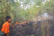 Cegah Kebakaran Hutan dan Lahan, Disbun Kaltim Keluarkan Imbauan Penting - JPNN.com Kaltim
