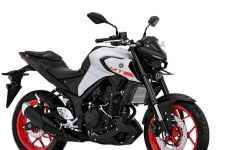 Yamaha MT-25 Terbaru dengan Tampilan Segar, Harga Rp 53 Jutaan - JPNN.com