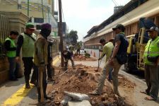 Tebang Pohon di Trotoar Cikini, Anak Buah Anies Dinilai Melanggar Undang-Undang - JPNN.com