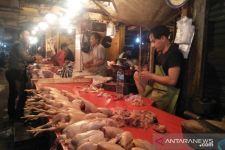 Bali Surplus Daging Ayam, Harga Masih di Atas Rp 42 Ribu per Kilogram - JPNN.com Bali