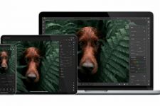 Kini Aplikasi Adobe Lightroom Dibuat Lebih Praktis, Simak Pembaruannya - JPNN.com