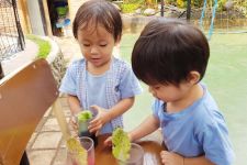 Tips Jitu Memilih Daycare untuk si Buah Hati - JPNN.com