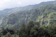 Cianjur Punya Cagar Alam Gunung Simpang yang Masih 'Perawan' - JPNN.com