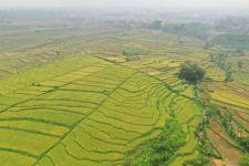 Pemkab Purwakarta Siap Lindungi 18 Ribu Hektare Area Persawahan dari Alih Fungsi Lahan - JPNN.com Jabar