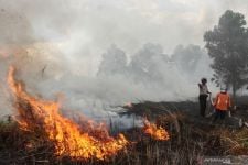 Innalillahi! Lahan HGU PTPN di Nyalindung Sukabumi Terbakar - JPNN.com Jabar