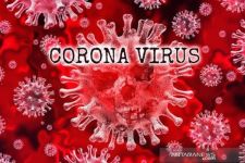 Aktor Senior Meninggal Dunia Gara-Gara Virus Corona - JPNN.com