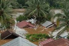 Ratusan Rumah di Seribu Riam Terendam Banjir Sampai Atap Rumah - JPNN.com