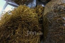 Cukai Rokok Tak Naik Tahun Depan, Petani Berharap Perlindungan Pemerintah - JPNN.com Jabar