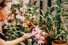 8 Daftar Bunga Terpopuler di Dunia: Pesona Aneka Warna dan Keindahan - JPNN.com Bali