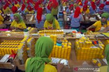 Ekonom Sebut PP Kesehatan Berpotensi Menurunkan Penerimaan Negara - JPNN.com