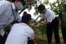 Peserta Apeksi XV Bakal Tanam Bibit Durian di Padang - JPNN.com Sumbar