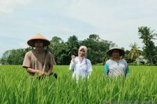 Kisah Febri Fatma, Anak Petani yang Sebentar Lagi jadi Dokter, Luar Biasa - JPNN.com