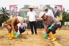 Polda Riau Tanam Jagung di Kampar, Irjen Iqbal: Polri Berkomitmen Dukung Ketahanan Pangan Nasional - JPNN.com