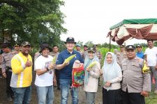 Tinjau Lahan Ketahanan Pangan di Kampar, Irjen Iqbal: Jagung Siap untuk Dipanen - JPNN.com