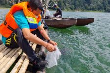 Ikan Hias dari Benua Afrika Rusak Ekosistem Danau Buyan dan Tamblingan Buleleng - JPNN.com Bali