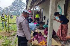 Kakek 80 Tahun Tewas di Kandang Babi, Polisi Gianyar Ungkap Motif Korban Akhiri Hidup - JPNN.com Bali