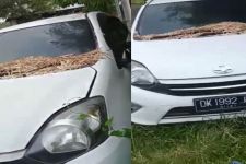 Viral Agya Parkir Berbulan-bulan di Ubud, Sosok Penyewa Mobil Terungkap, Ternyata - JPNN.com Bali