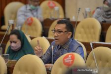 Komisi IV DPR RI Sorot Pembabatan 400 Ha Hutan Bowosie di Manggarai Barat NTT - JPNN.com Bali