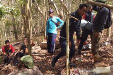 Empat Pembalak Liar di Hutan Rentung Sebokas Diciduk, Sebegini Barang Bukti yang Diamankan - JPNN.com Bali