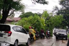BPBD NTT Minta Kab/Kota Aktifkan Posko Bencana Antisipasi Dampak Angin Kencang - JPNN.com Bali