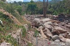 Dampak Siklon Seroja Belum Diperbaiki, Puluhan Hektare Sawah di Flores Timur Terancam Gagal Tanam - JPNN.com Bali