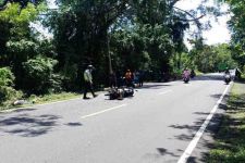 NGERI! Tabrak Pohon di Jalur Tengkorak, Pengendara Motor Tewas Bersimbah Darah - JPNN.com Bali