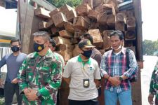 Kodim Lotim dan KPH Rinjani Gagalkan Penyelundupan Kayu Sonokeling ke Pasuruan Jatim - JPNN.com Bali