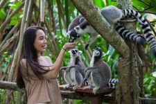 Objek Wisata di Bali Menggeliat, Prokes Ketat Berlaku untuk Akses Masuk - JPNN.com Bali