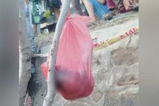 Duh Gusti, Bayi Baru Lahir di Lombok Utara Dimasukkan Plastik lalu Digantung di Pohon - JPNN.com Bali