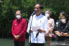 Jokowi Puji Taman Hutan Raya Ngurah Rai, Minta Daerah Lain Contoh Bali - JPNN.com Bali