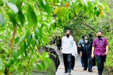 Jokowi Siapkan Hutan Mangrove di Tahura Ngurah Rai Jadi Destinasi Wisata Peserta KTT G-20 - JPNN.com Bali