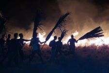 10 Ha Lahan Taman Nasional Komodo di Pulau Rinca NTT Terbakar, Cuaca Panas dan Kering - JPNN.com Bali