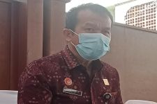Jamaruli Respons Protes Wagub Cok Ace, Perintahkan Investigasi Praktik Mafia Visa - JPNN.com Bali