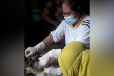 Heboh Penemuan Bayi Perempuan di Rumah Kosong, Tergeletak Bercampur Lumpur, OMG - JPNN.com Bali