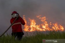 Kebakaran Hutan di NTB dan NTT Meluas, Waduh - JPNN.com Bali