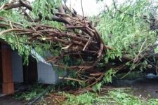 BPBD NTT Terima Laporan Kerusakan Akibat Cuaca Ekstrem - JPNN.com Bali