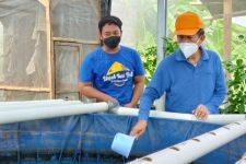 Bisnis Lele di Tengah Kota Denpasar; Sebulan Produksi Benih 200 Ribu Ekor dan 1,5 Ton Ikan Konsumsi  - JPNN.com Bali