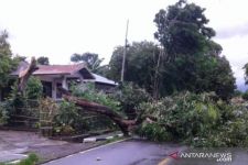 Cuaca Buruk: Angin Kencang Landa NTT, Dipicu Tekanan Rendah Australia Barat - JPNN.com Bali