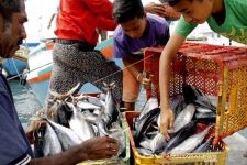 50 Ribu Kapal Ikan Beroperasi di Perairan Indonesia Tanpa Izin, KKP Bergerak - JPNN.com Bali
