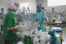 Begini Cerita Dokter Artana Bantu Persalinan Bayi Kembar 4 Hasil Kawin Suntik di RS Sanglah, Tegang - JPNN.com Bali