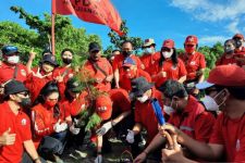 Kader PDIP Bergerak Tanam Bakau dan Cemara Udang di Sanur Bali - JPNN.com Bali