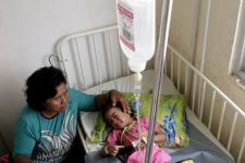 Demam Berdarah Renggut Tiga Nyawa di NTT, Harusnya Bisa Dicegah Dengan Cara Ini - JPNN.com Bali