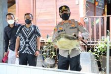 Polres Jembrana Gagalkan Penyelundupan Penyu Hijau dari Jatim, Lihat Tuh Buktinya - JPNN.com Bali