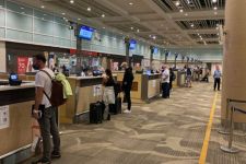 Jamaruli Pastikan Imigrasi Bali Periksa Izin Tinggal 112 WNA Penumpang Singapore Airlines, Klir - JPNN.com Bali