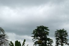Prakiraan Cuaca Bali Senin (5/12): Hujan Tipis-tipis, Dominan Berawan - JPNN.com Bali