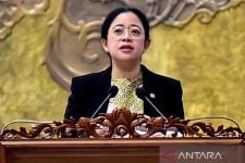 Elektabilitas Puan Maharani Merangkak Naik, Ngos-ngosan Mengejar AHY - JPNN.com Bali