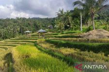 Berikut 3 Desa Wisata di Buleleng yang Disiapkan Sambut Delegasi G20, Eksotis - JPNN.com Bali