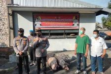 Polresta Denpasar Bagi-bagi Daging Babi Gratis Jelang Galungan, Sungguh Mulia - JPNN.com Bali