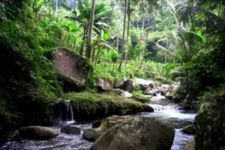 Jejak Peradaban Manusia Bali dari Lembah Sungai Petanu-Pakerisan - JPNN.com Bali